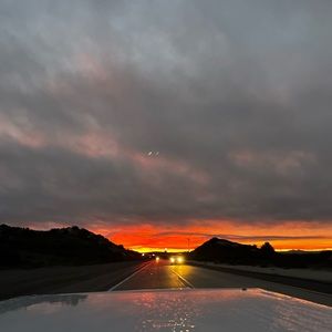 Meet your Posher, Sunnie